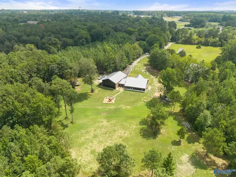 View/Area - 237 Shadowfax Farm Rd, Grant, AL 35747 photo 5 of 6