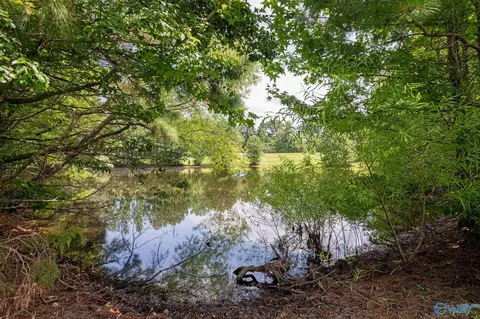 View/Area - 237 Shadowfax Farm Rd, Grant, AL 35747 photo 1 of 6