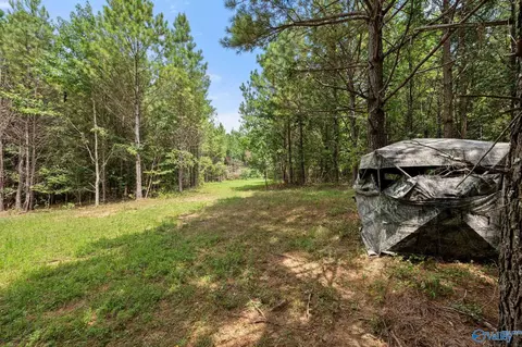 Other - 237 Shadowfax Farm Rd, Grant, AL 35747 photo 12 of 15