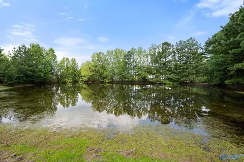 View/Area - 237 Shadowfax Farm Rd, Grant, AL 35747 photo 2 of 6