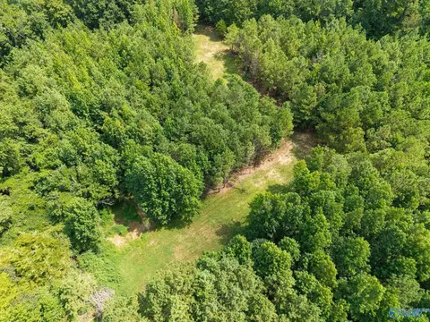 View/Area - 237 Shadowfax Farm Rd, Grant, AL 35747 photo 4 of 6