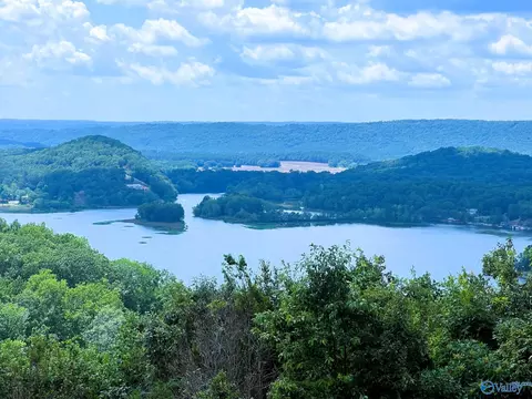 lot210 County Road 767, Cedar Bluff, AL 35959