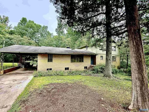 258 N Mountain Dr, Trinity, AL 35673 photo 1