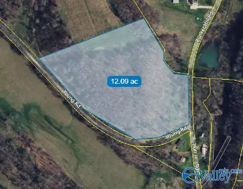 12 Acres Bunker Hill Rd, Pulaski, TN 38478
