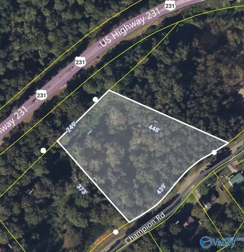 2 6 Acres Champion Rd, Oneonta, AL 35121