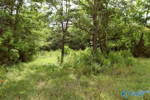 3 Acres County Road 198, Danville, AL 35619