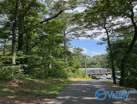 6 Ac Alford St, Guntersville, AL 35976