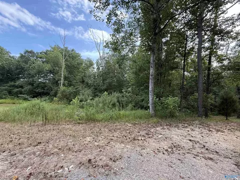 0 66 Ac County Road 1606, Cullman, AL 35058