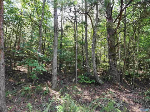15 County Road 759, Valley Head, AL 35989