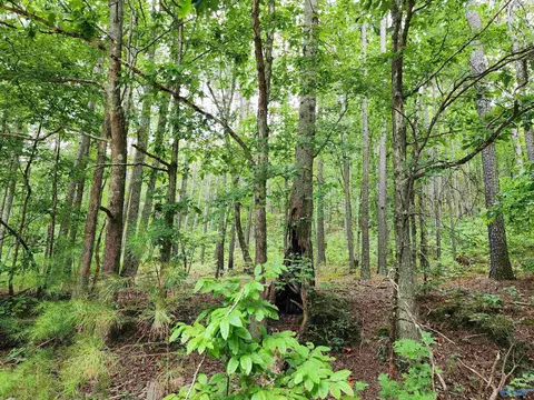 10 County Road 759, Valley Head, AL 35989