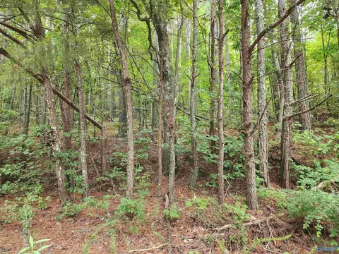13 County Road 759, Valley Head, AL 35989
