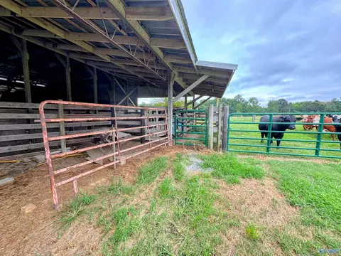 5218 County Road 124, Dutton, AL 35744 photo 7