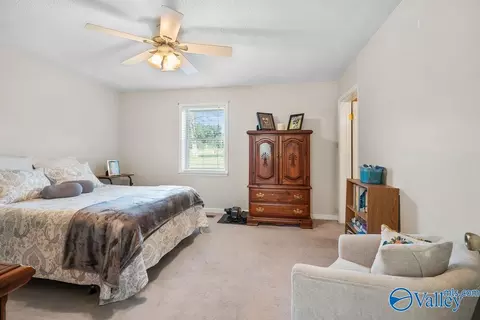 5218 County Road 124, Dutton, AL 35744 photo 26