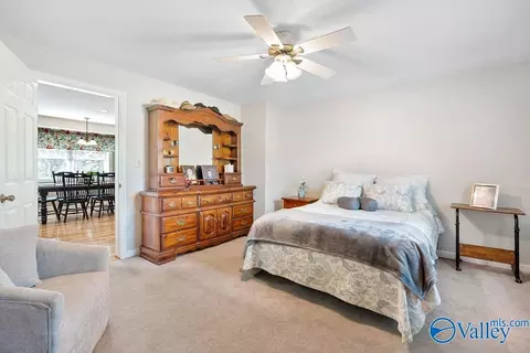 5218 County Road 124, Dutton, AL 35744 photo 27