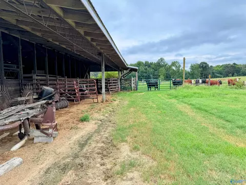 5218 County Road 124, Dutton, AL 35744 photo 8