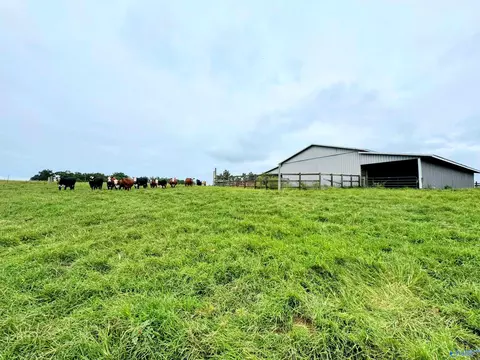 5218 County Road 124, Dutton, AL 35744 photo 4