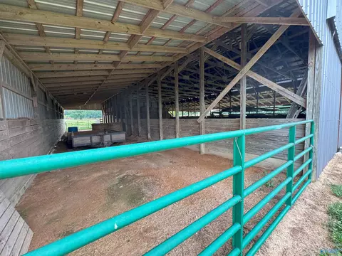 5218 County Road 124, Dutton, AL 35744 photo 37