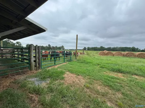 5218 County Road 124, Dutton, AL 35744 photo 9