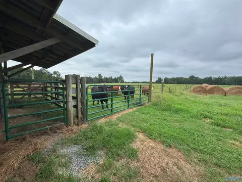 5218 County Road 124, Dutton, AL 35744 photo 36