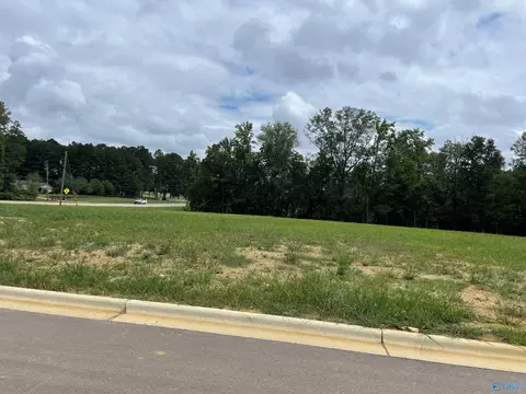 002 Steele Station Rd, Rainbow City, AL 35906