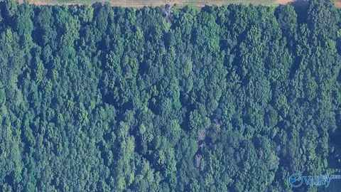 4 Acres Carters Gin Rd, Toney, AL 35773