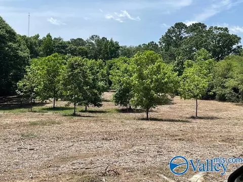 1021 County Road 1242, Vinemont, AL 35179