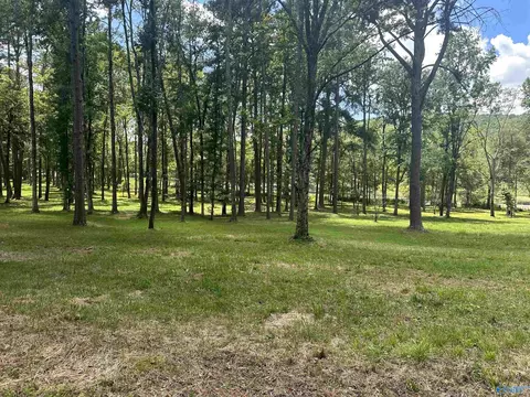 321 Carlton Rd, Scottsboro, AL 35769