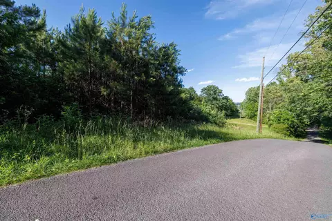 14 Acres Wills Creek Rd, Fort Payne, AL 35968
