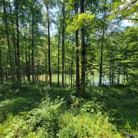 lot25 Legendary Pkwy, Arley, AL 35541