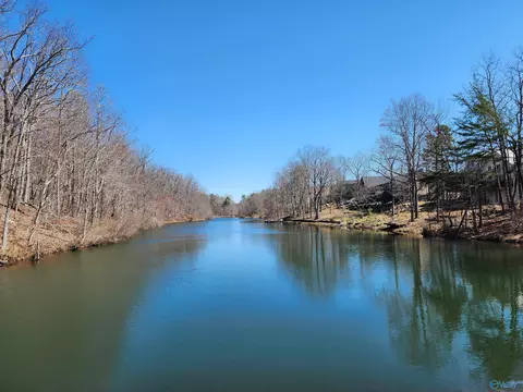 lot85 County Road 839, Mentone, AL 35984