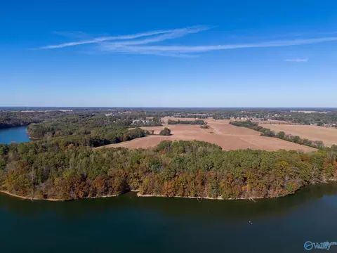 430 Wheeler Hills Rd, Rogersville, AL 35652