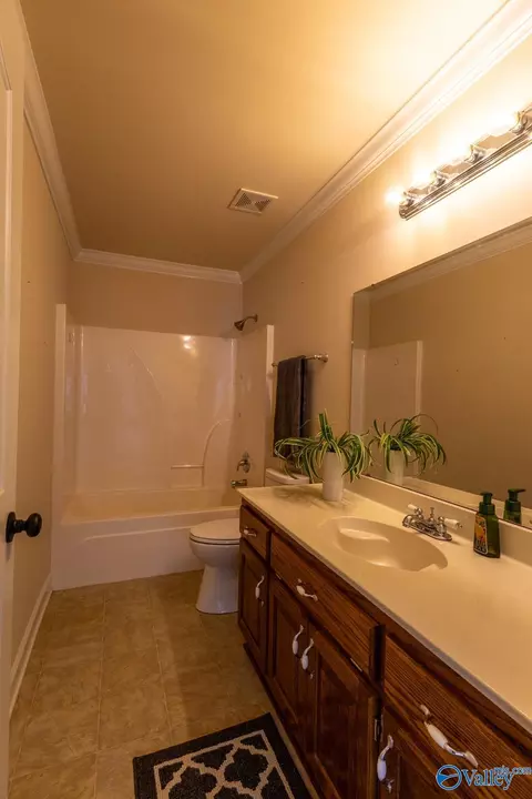 50 Mountain Brook Dr, Trinity, AL 35673 photo 33