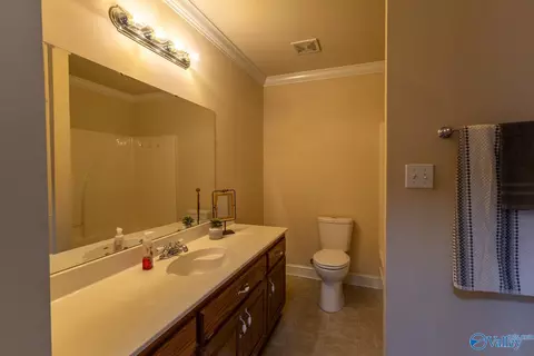 50 Mountain Brook Dr, Trinity, AL 35673 photo 24