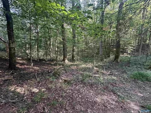 X Winding Brook Lane, Guntersville, AL 35976