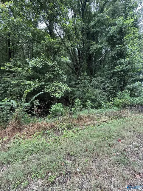 2520 Sweeney Hollow Rd, Birmingham, AL 35215