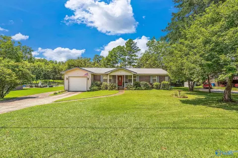 261 Ketchum Rd, Blountsville, AL 35031