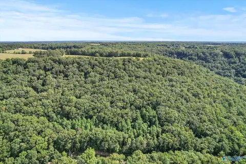 15 Shin Point Rd, Grant, AL 35760