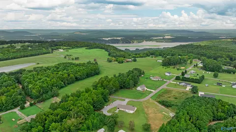 251 Morgan Ln, Section, AL 35771
