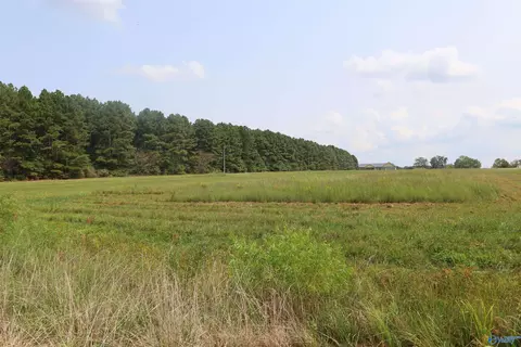 5 Acres County Road 47, Dutton, AL 35744
