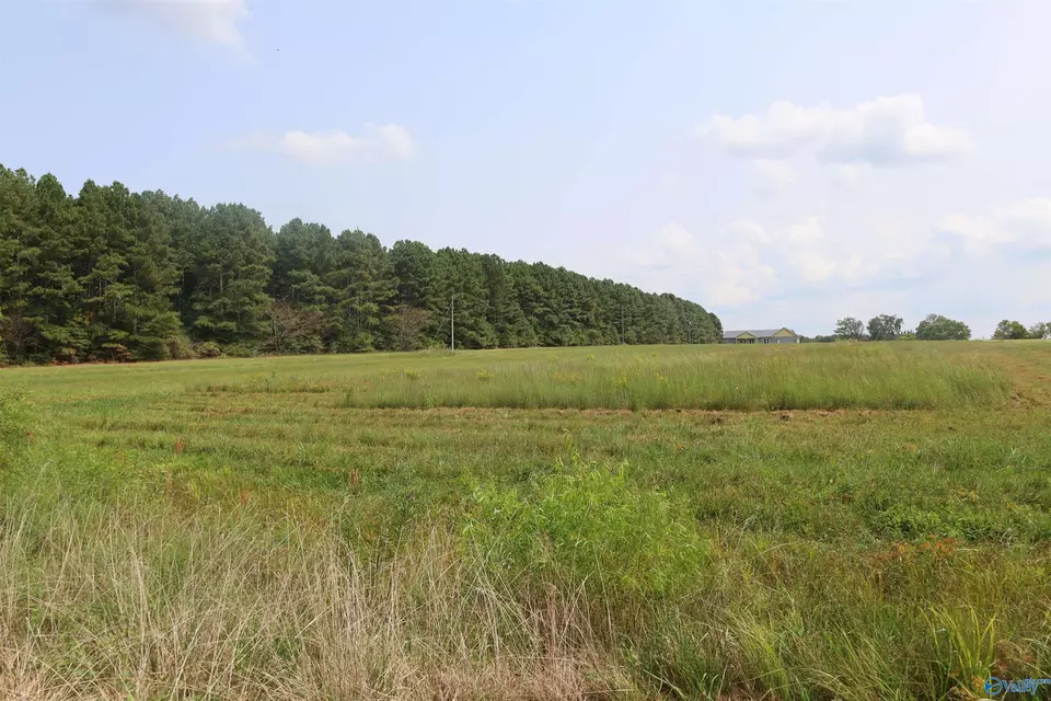  5 Acres County Road 47, Dutton, AL 35744 photo 1