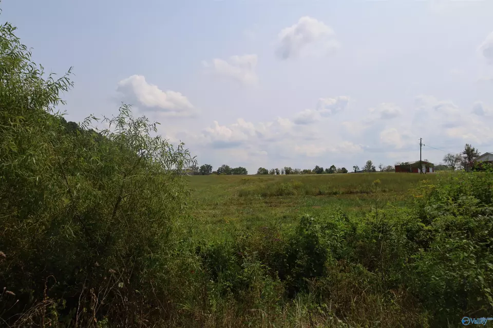  5 Acres County Road 47, Dutton, AL 35744 photo 4