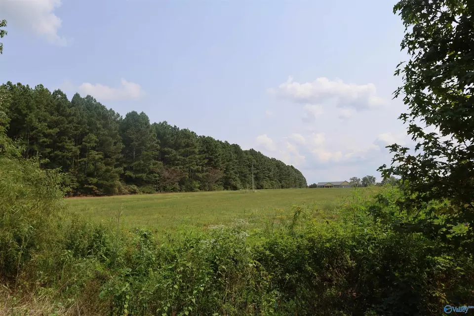  5 Acres County Road 47, Dutton, AL 35744 photo 2