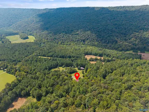 3818 5 County Road 4 #TRACT 5, Hollytree, AL 35751