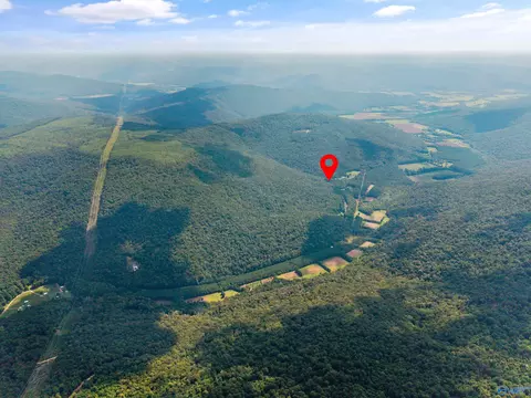 3818 6 County Road 4 #TRACT 6, Hollytree, AL 35751