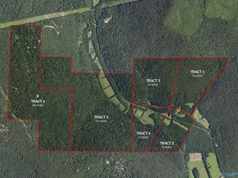 3818 3 County Road 4 #TRACT 3, Hollytree, AL 35751
