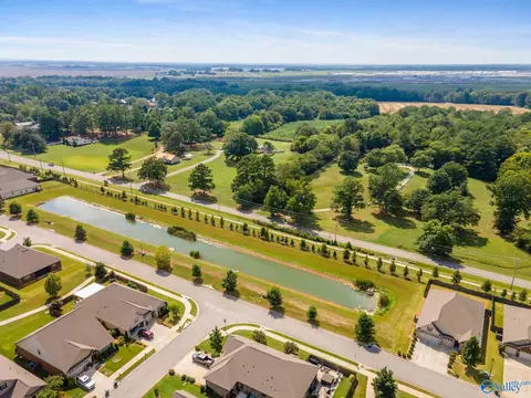 8933 Segers Trail Loop, Madison, AL 35756 photo 7