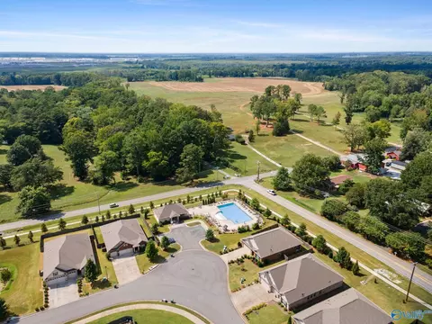 8933 Segers Trail Loop, Madison, AL 35756 photo 6