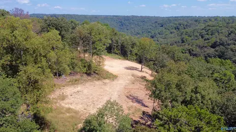 4 63 Acres Lee St, Guntersville, AL 35976