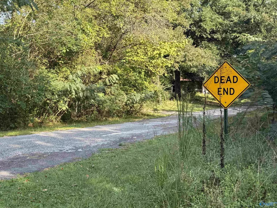  35 County Road 753, Piedmont, AL 36272 photo 5