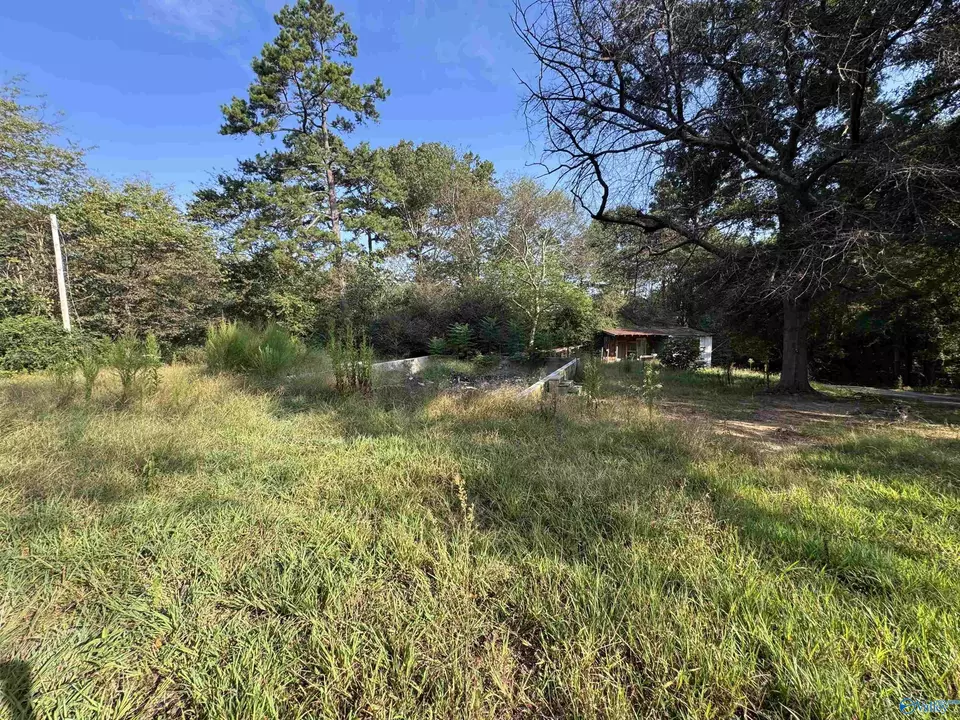  35 County Road 753, Piedmont, AL 36272 photo 8